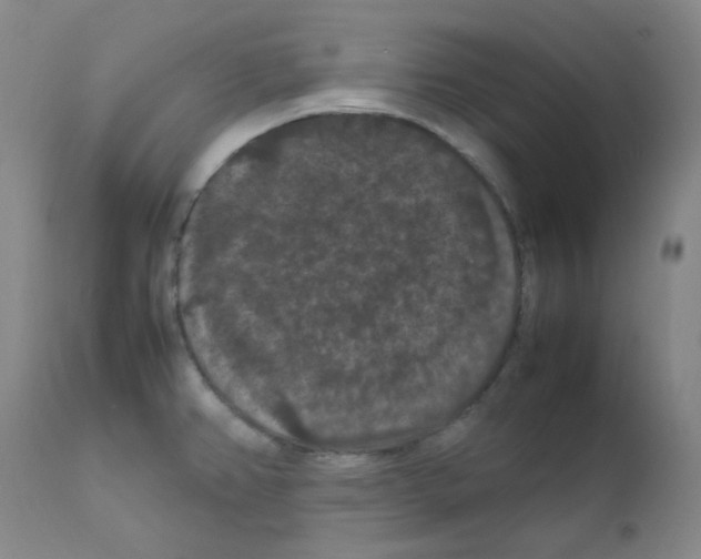 X0000111861382200909031740