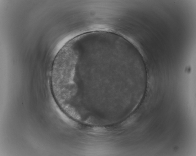 X0000111861383200909031740