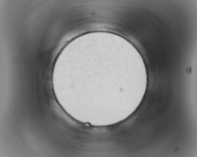 X0000111861384200909031740
