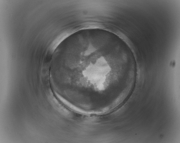 X0000111861385200909031740