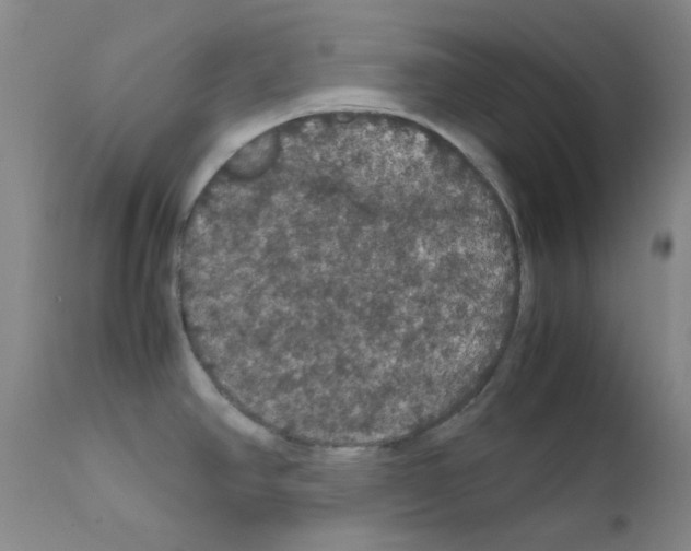 X0000111861390200909031740