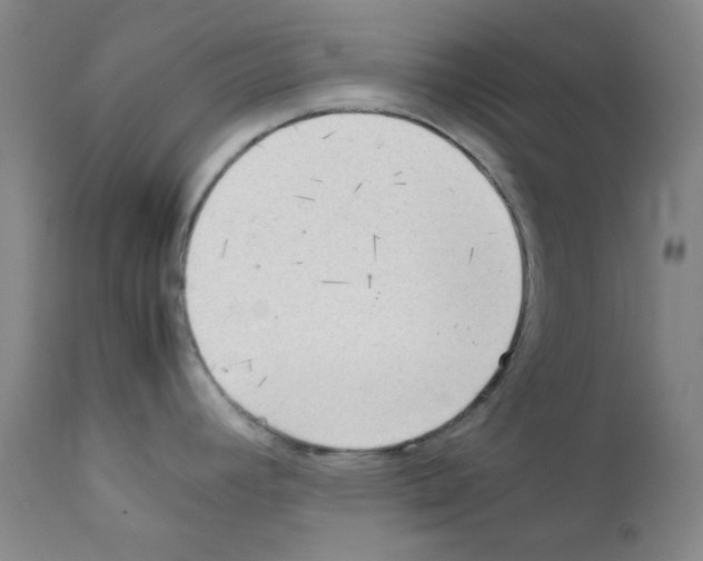 X0000111861392200909031740