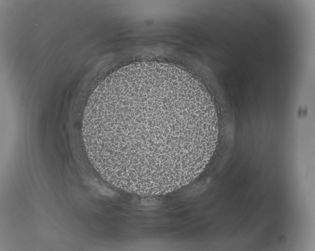 X0000111861393200909031740