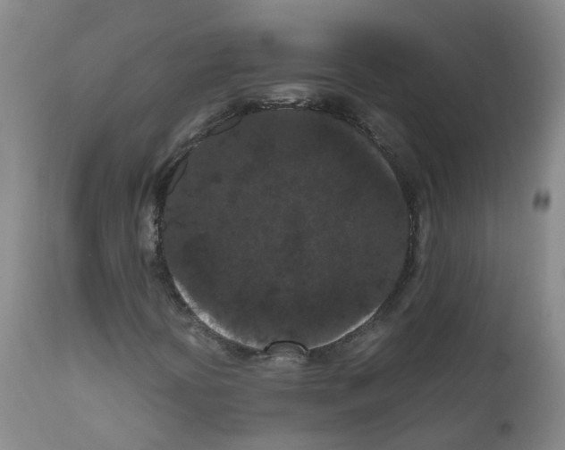 X0000111861394200909031740