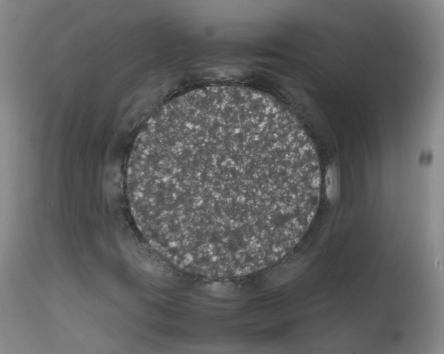 X0000111861395200909031740