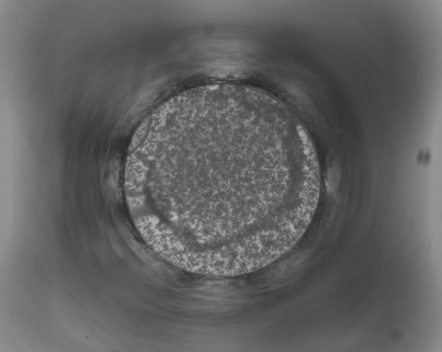 X0000111861396200909031740