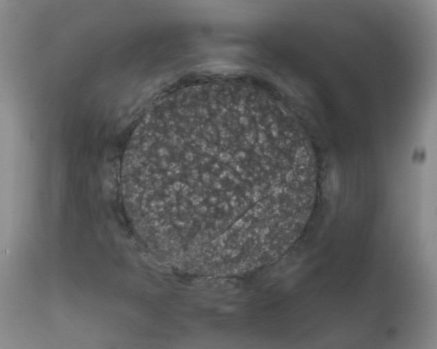 X0000111861397200909031740