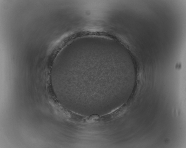 X0000111861398200909031740