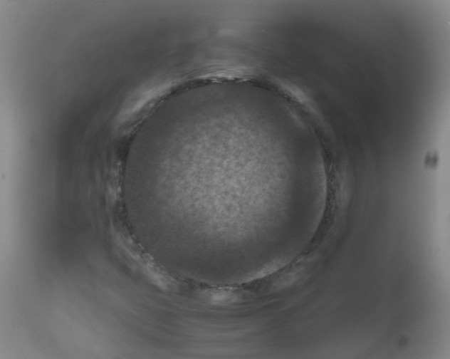 X0000111861399200909031740