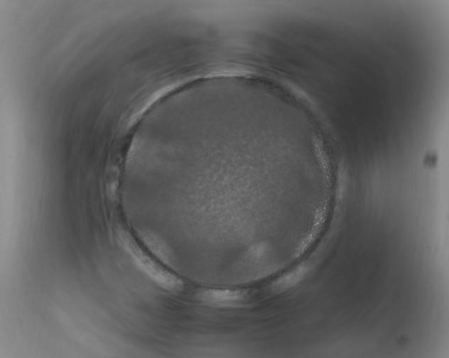 X0000111861401200909031740