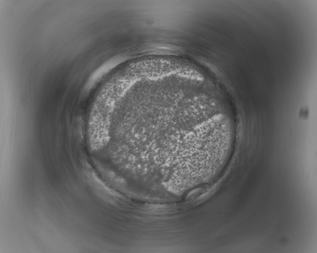 X0000111861402200909031740