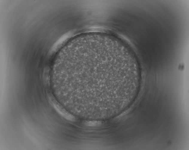 X0000111861403200909031740
