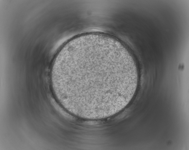 X0000111861404200909031740
