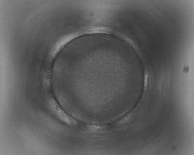 X0000111861405200909031740