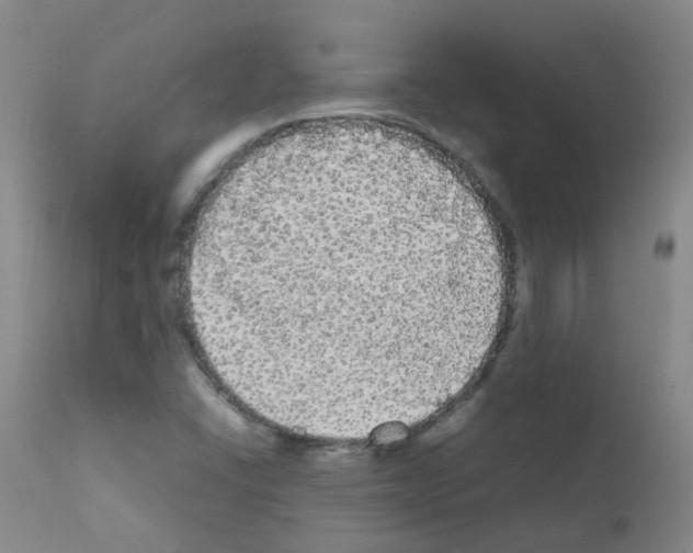X0000111861406200909031740