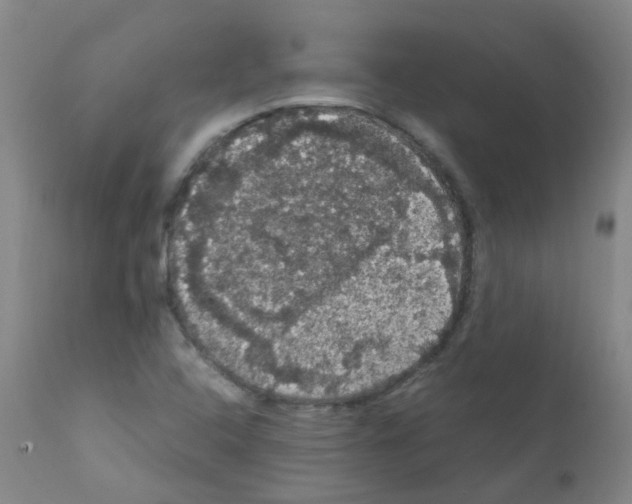 X0000111861408200909031740
