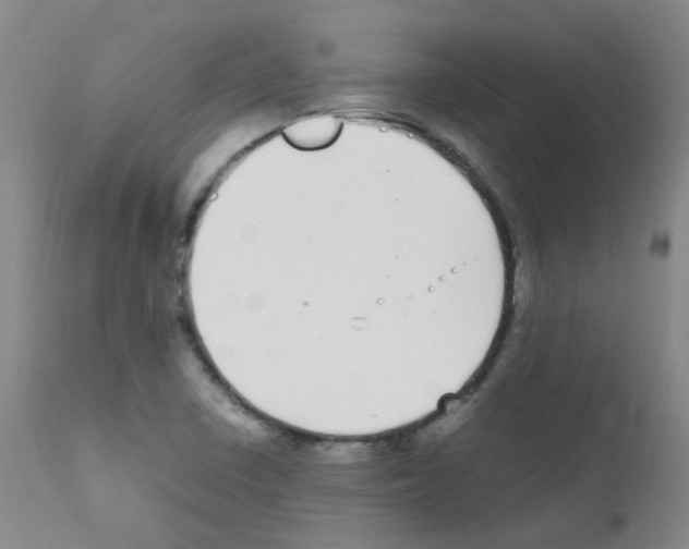 X0000111861410200909031740