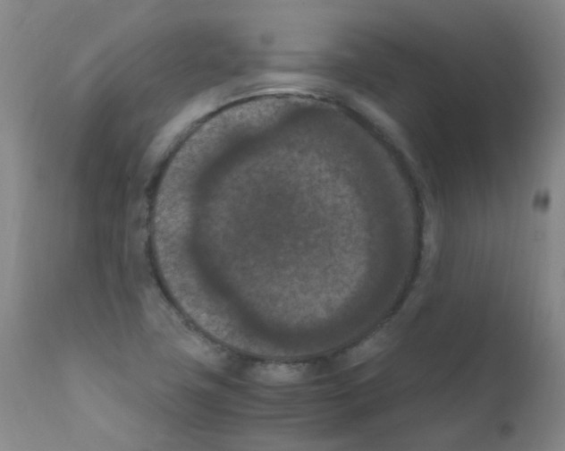 X0000111861411200909031740