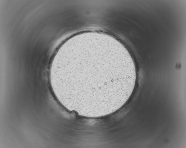 X0000111861412200909031740