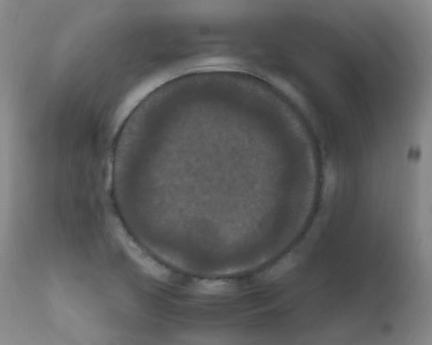 X0000111861413200909031740