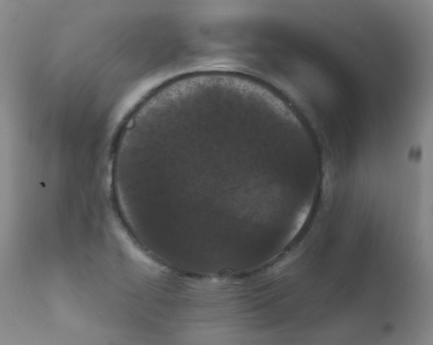 X0000111861414200909031740