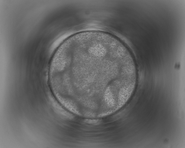 X0000111861415200909031740