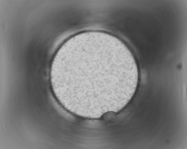 X0000111861416200909031740