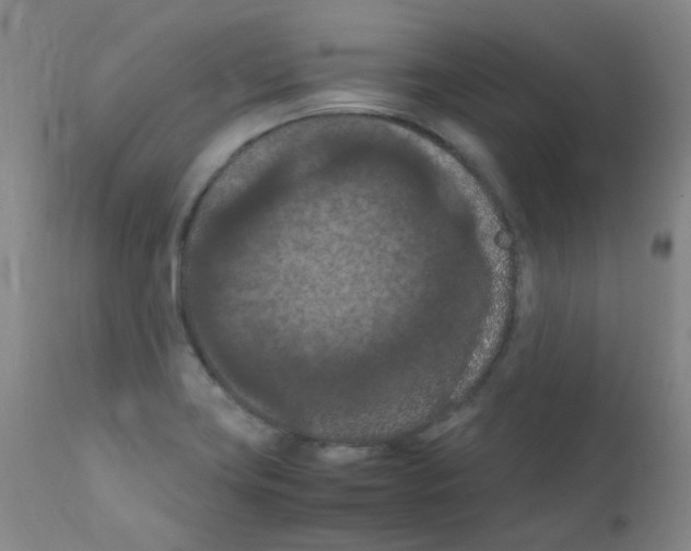 X0000111861419200909031740