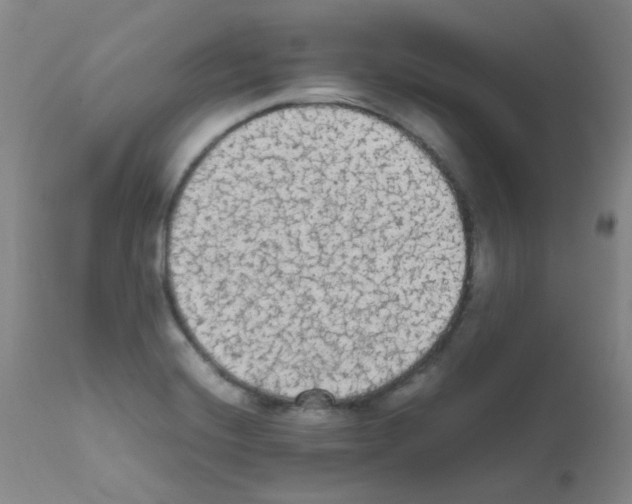 X0000111861420200909031740