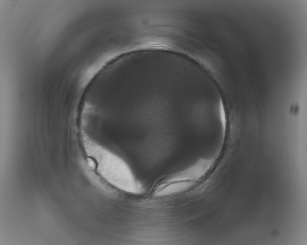 X0000111861422200909031740