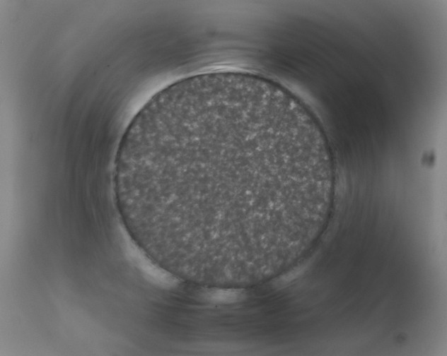 X0000111861423200909031740