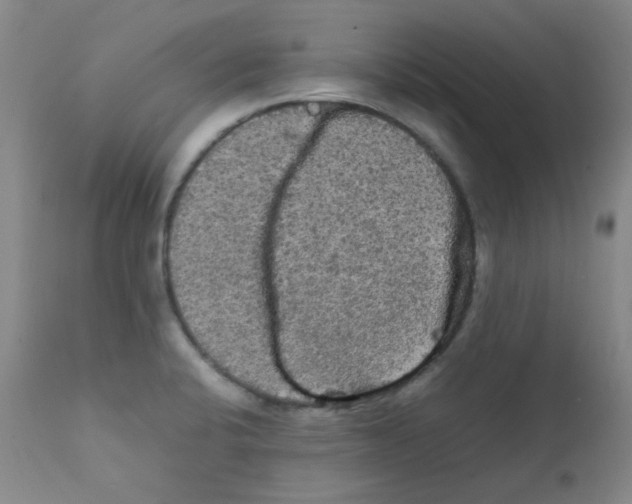 X0000111861424200909031740