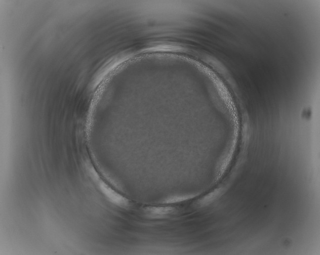 X0000111861425200909031740