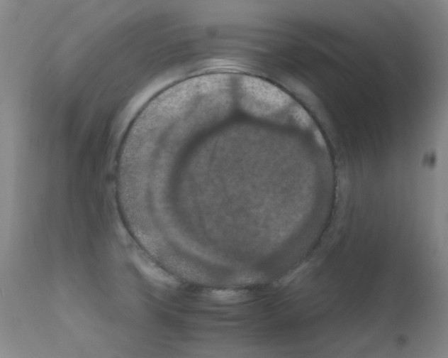 X0000111861427200909031740