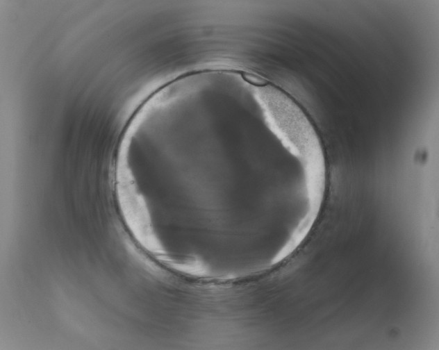 X0000111861428200909031740