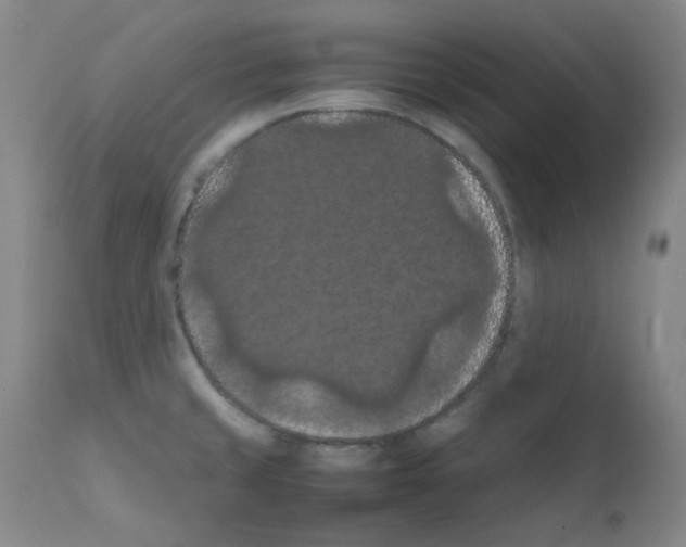 X0000111861429200909031740