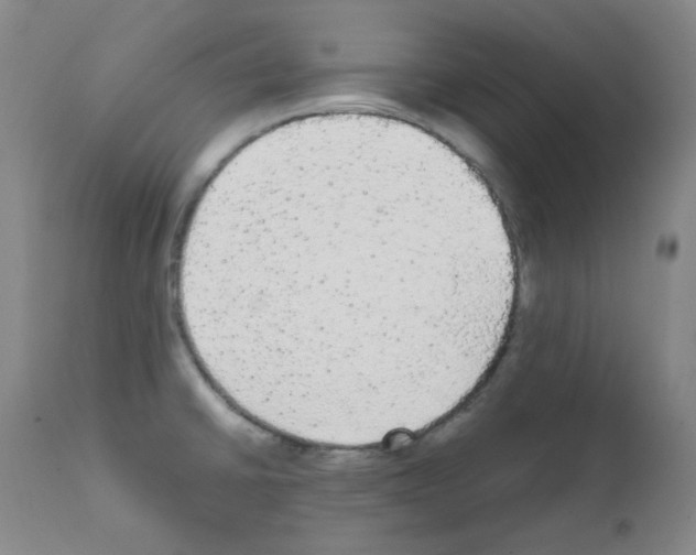 X0000111861430200909031740
