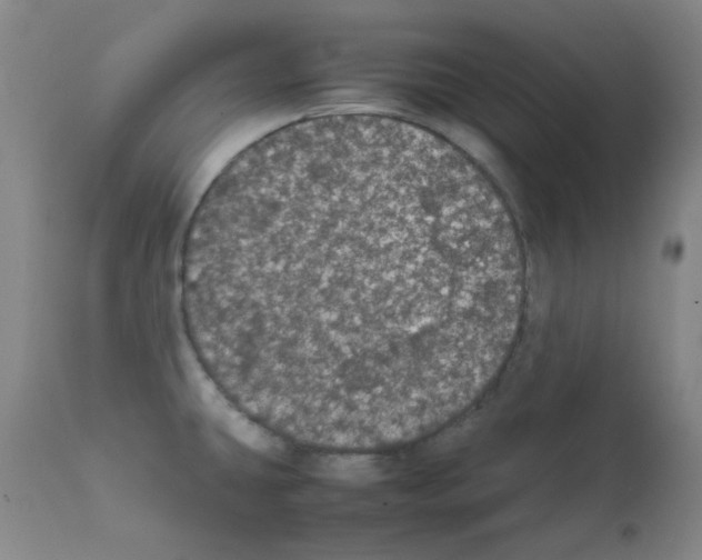 X0000111861431200909031740