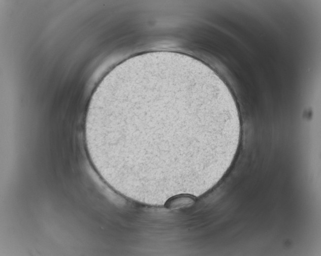 X0000111861432200909031740