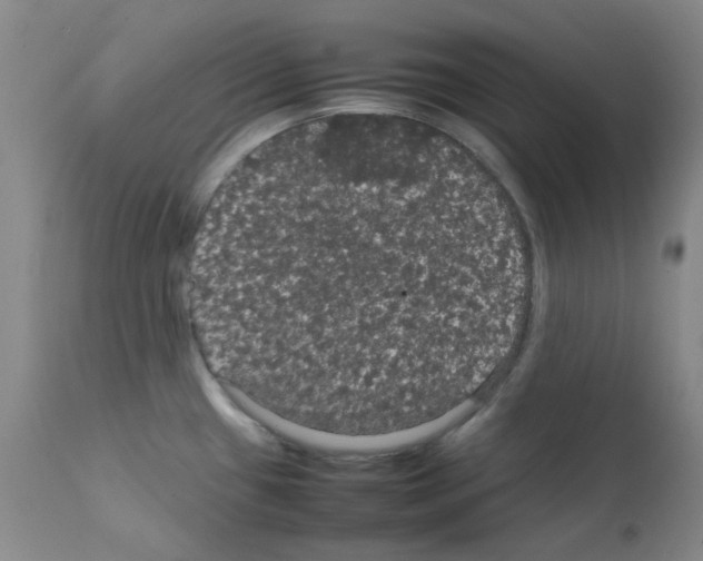 X0000111861433200909031740