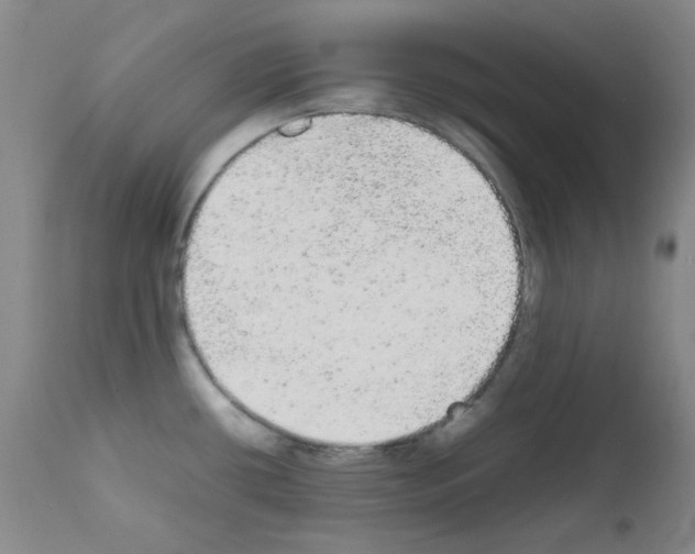 X0000111861434200909031740