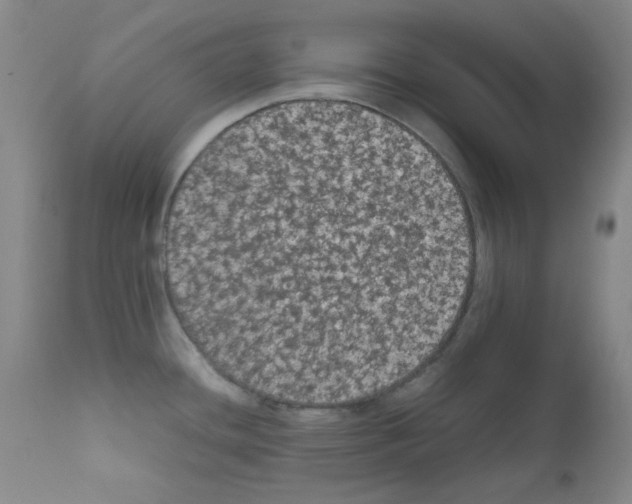 X0000111861436200909031740