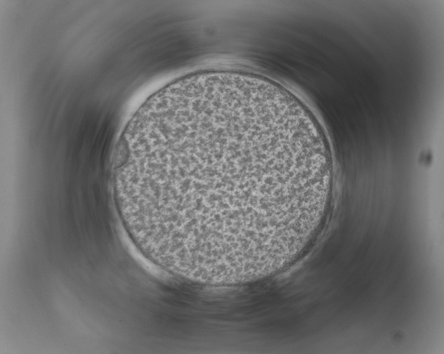 X0000111861437200909031740