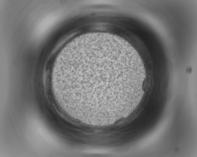 X0000111861438200909031740