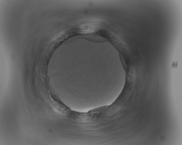 X0000111861441200909031740