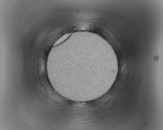 X0000111861442200909031740