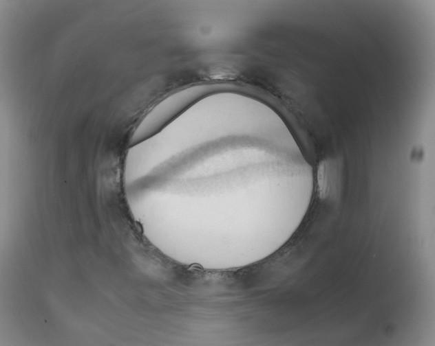 X0000111861443200909031740