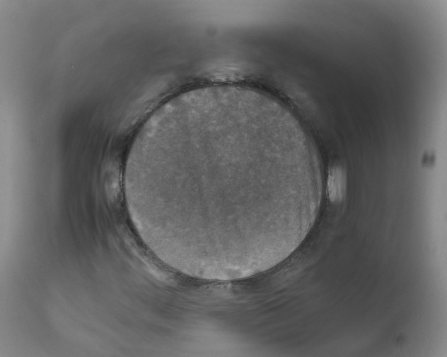 X0000111861444200909031740