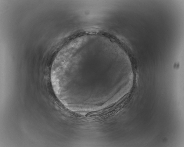 X0000111861445200909031740