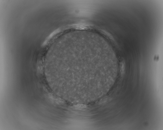 X0000111861446200909031740